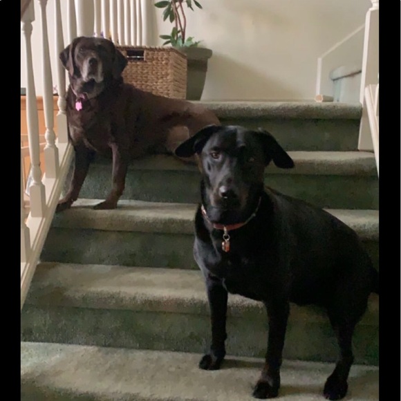 Meet the Posher - Picture 3 of 4